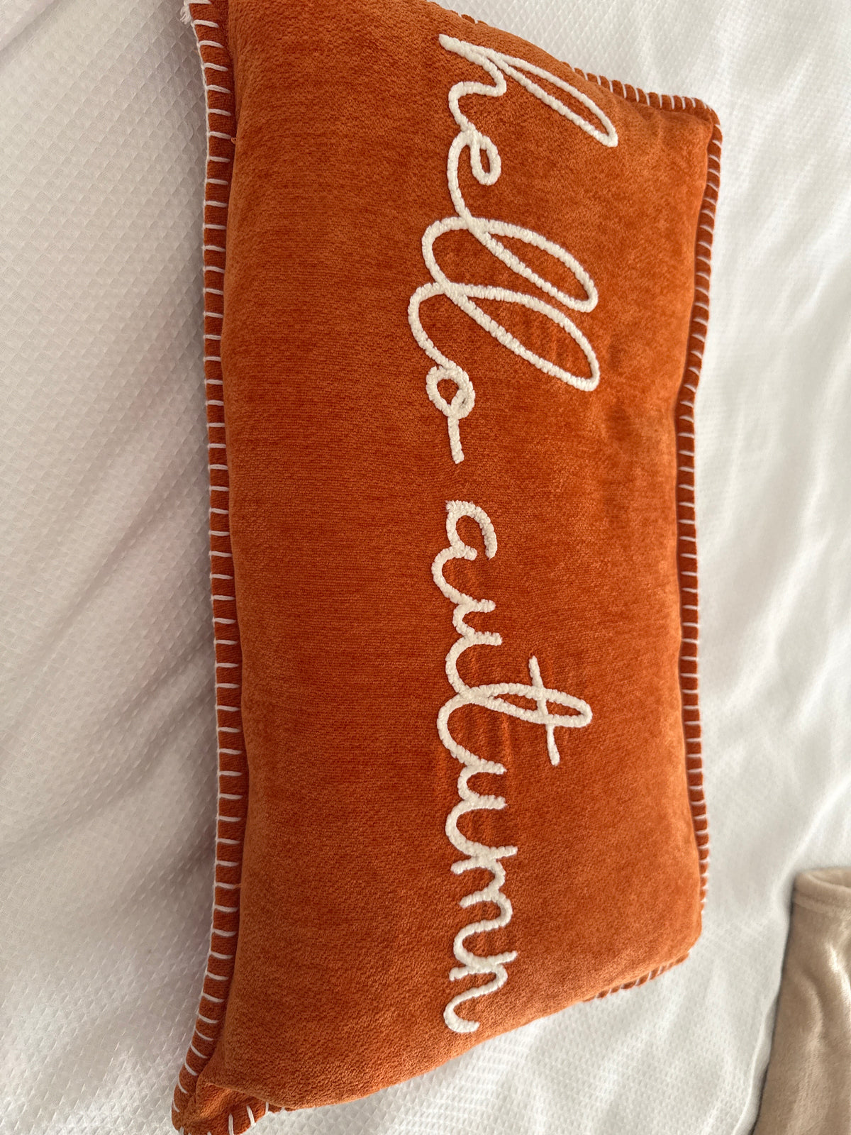 Autumn Pillow